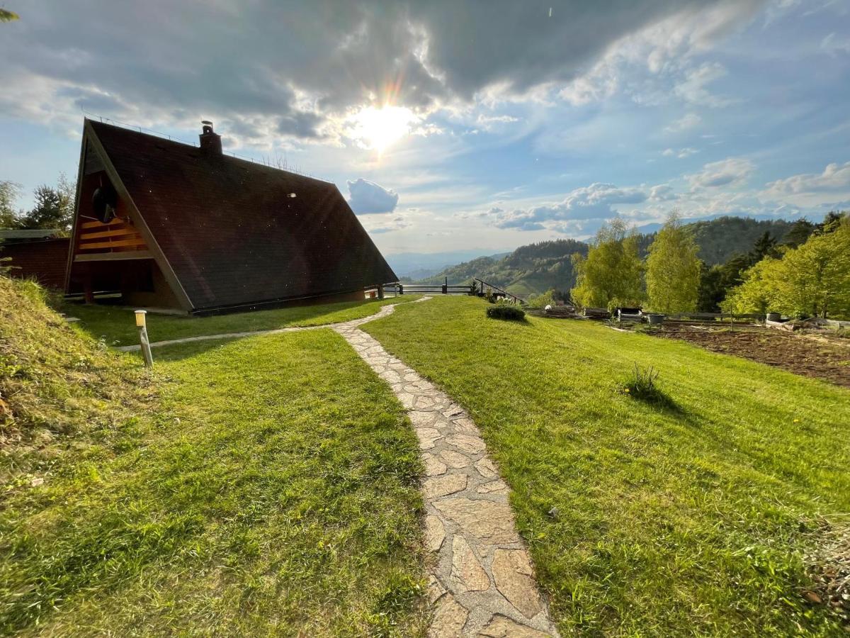 Mountain View Cottage Kamnik Extérieur photo