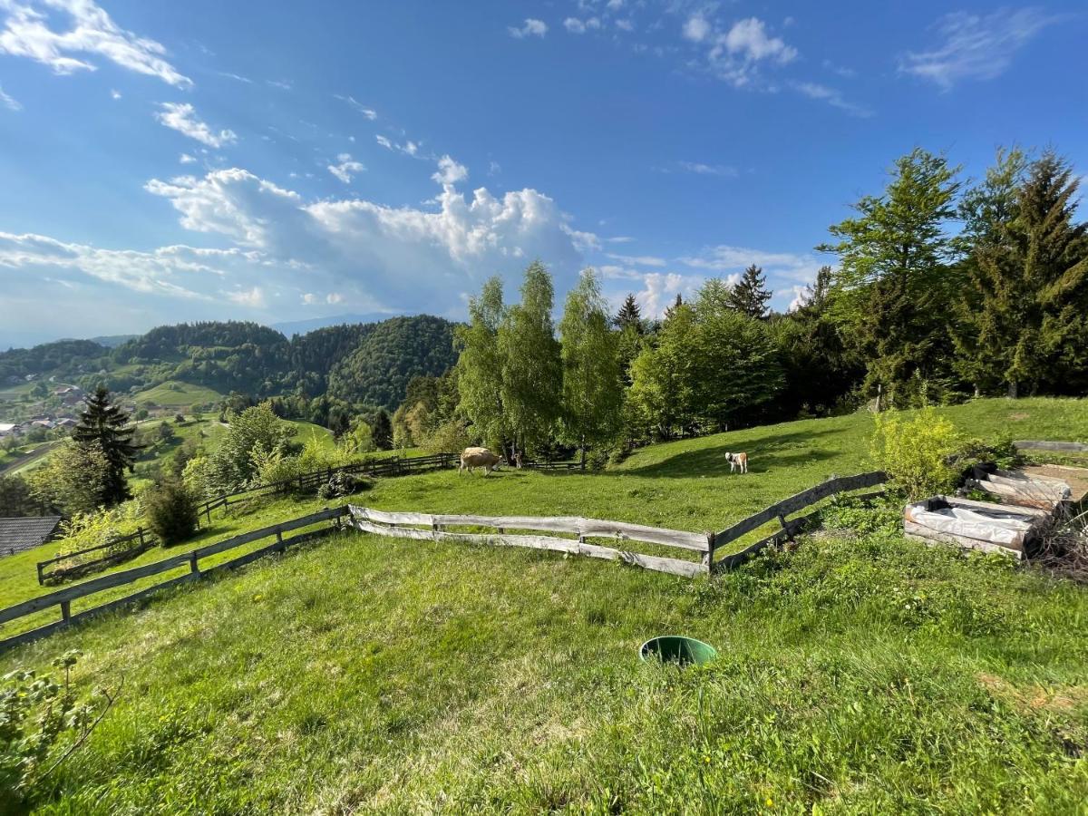 Mountain View Cottage Kamnik Extérieur photo