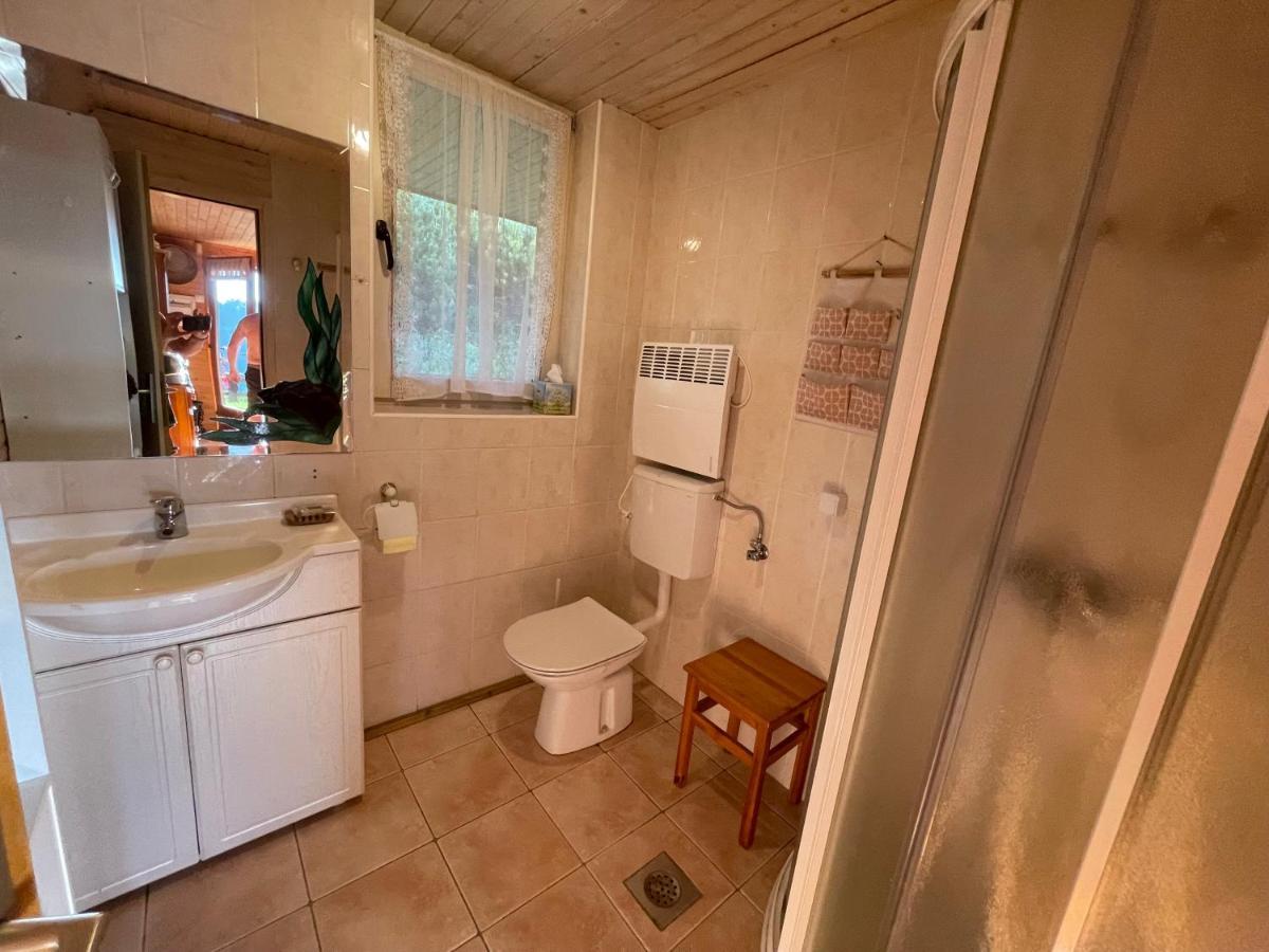 Mountain View Cottage Kamnik Extérieur photo